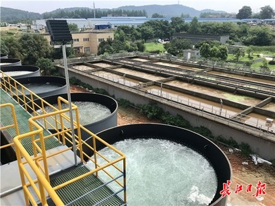 九峰明渠臨時(shí)污水處理設(shè)施高效運(yùn)行，顯著削減入東湖污水量